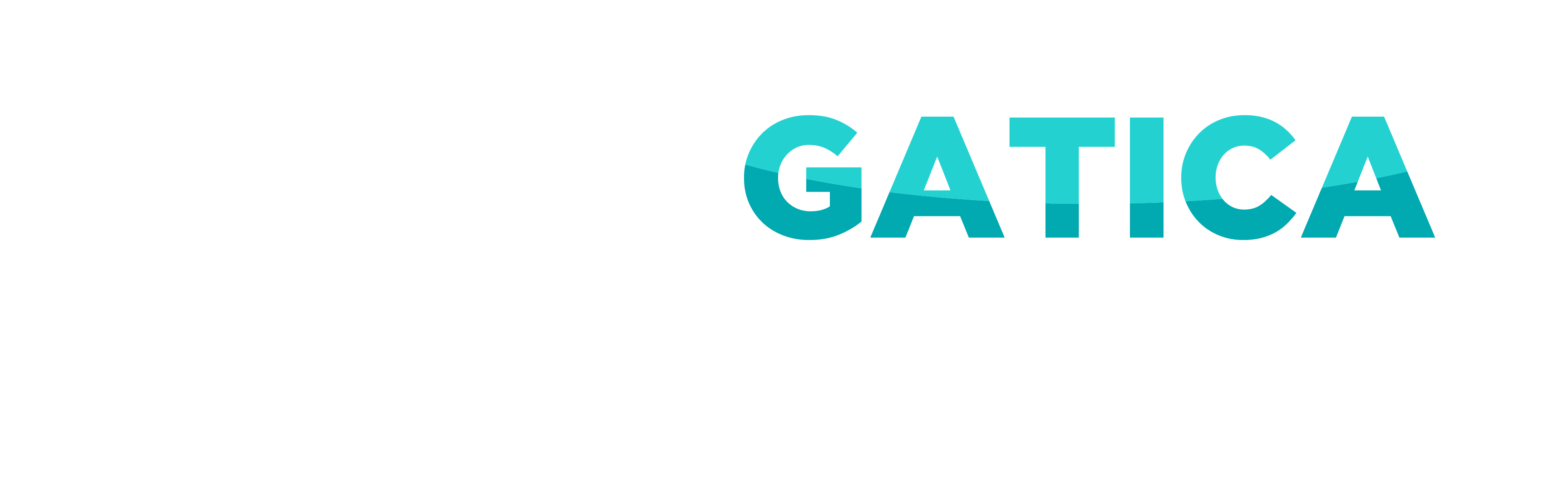 Logotipo Oficial Carlos Gatica